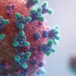 3D coronavirus particle with spiky red, purple, and green projections, showcasing intricate viral structure detail.