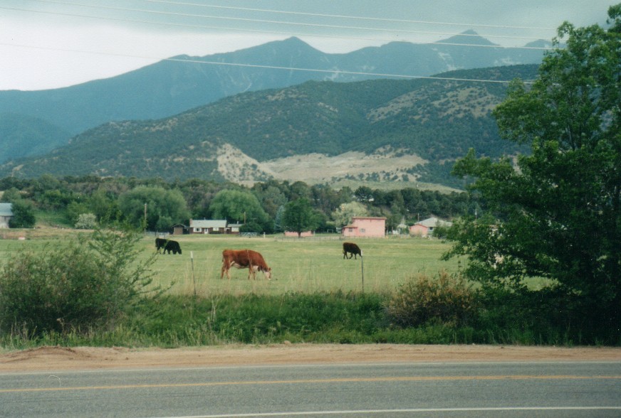 frontview1 Rocky Mountain Commercial Real Estate