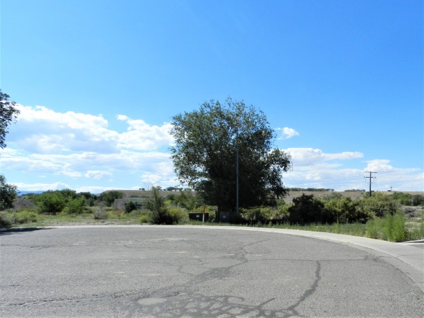 Commercial land lot at TBD Lot 7 & 8 Hawk Parkway, Montrose, featuring open space with trees and a clear blue sky, ideal for development near busy South Townsend corridor.
