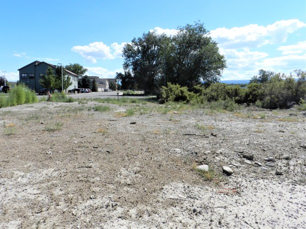 Commercial land for sale at TBD Lot 7 & 8 Hawk Parkway, Montrose, featuring open terrain with sparse vegetation, surrounded by professional buildings, ideal for development in the South Townsend corridor.