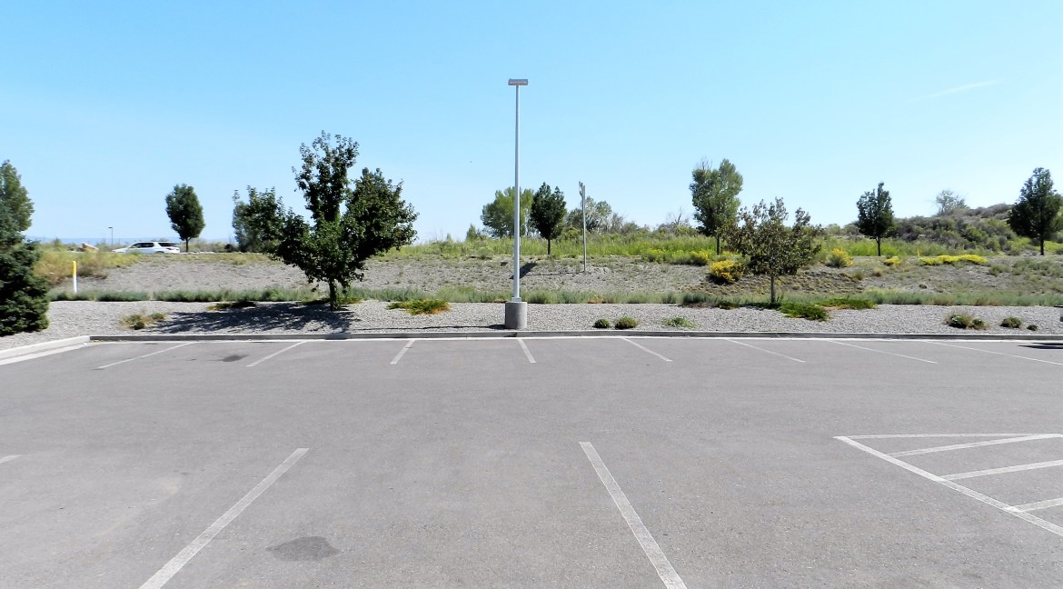 Commercial parking lot with landscaped area, trees, and light pole, adjacent to retail space for sale at 3501 Wolverine Dr, Montrose, Colorado.