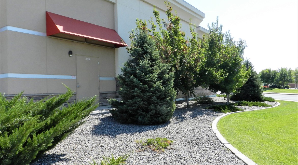 Commercial building exterior with red awning, landscaped area featuring trees and shrubs, located at 3501 Wolverine Drive, Montrose, Colorado, part of a commercial real estate listing.