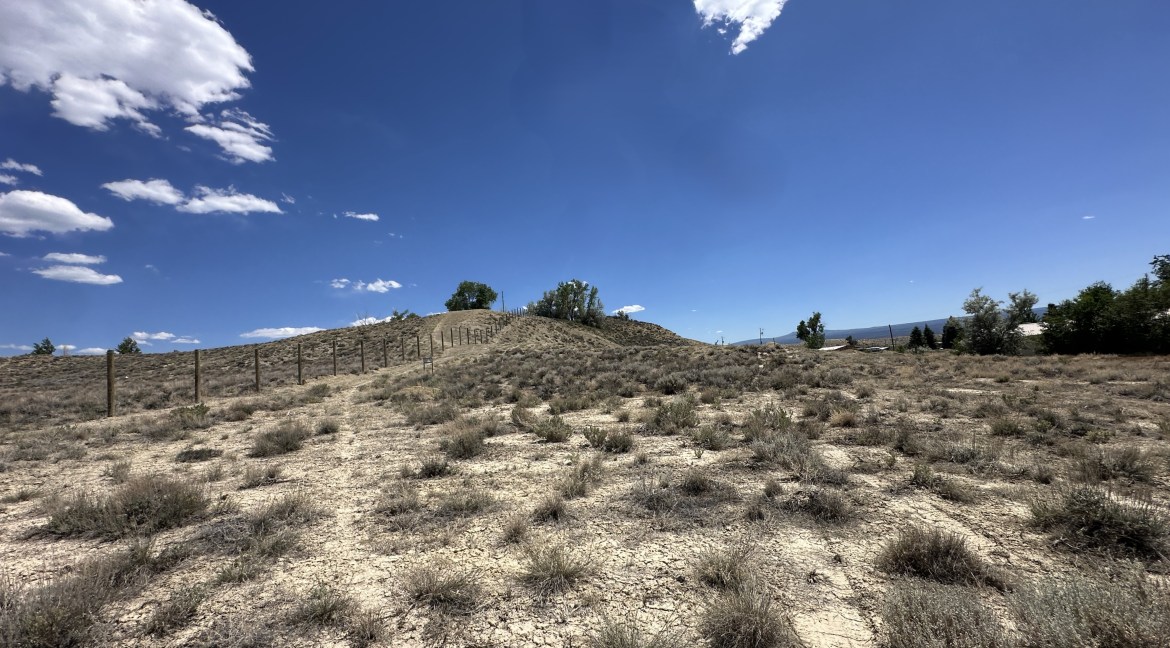 20250616_205217578_iOS