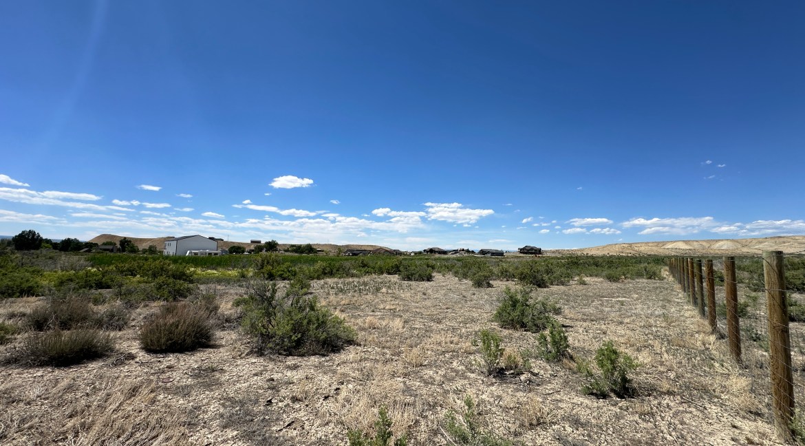 20250616_205803705_iOS