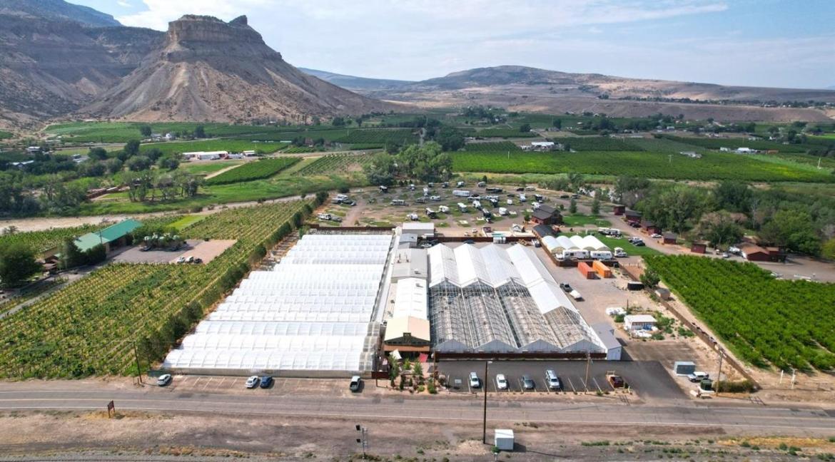 Large Greenhouse in Wine Country Colorado