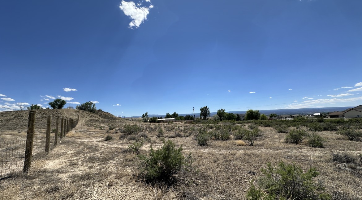 20250616_205343459_iOS