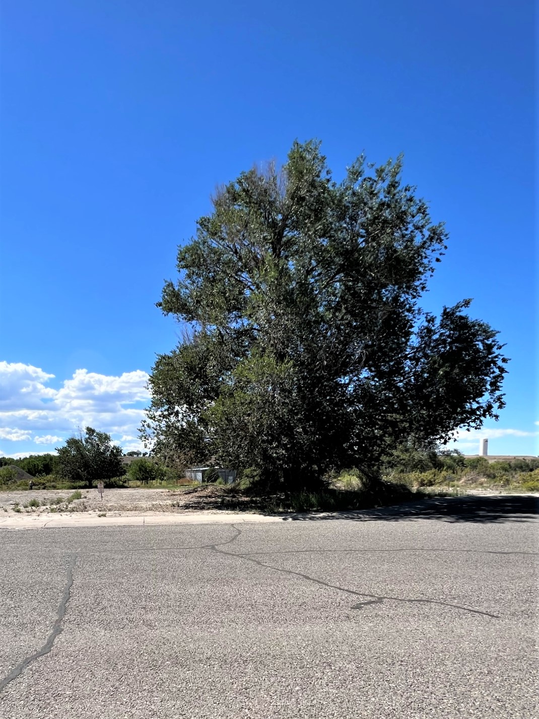 TBD Lot 7 & 8 Hawk Parkway, Montrose, Montrose, CO