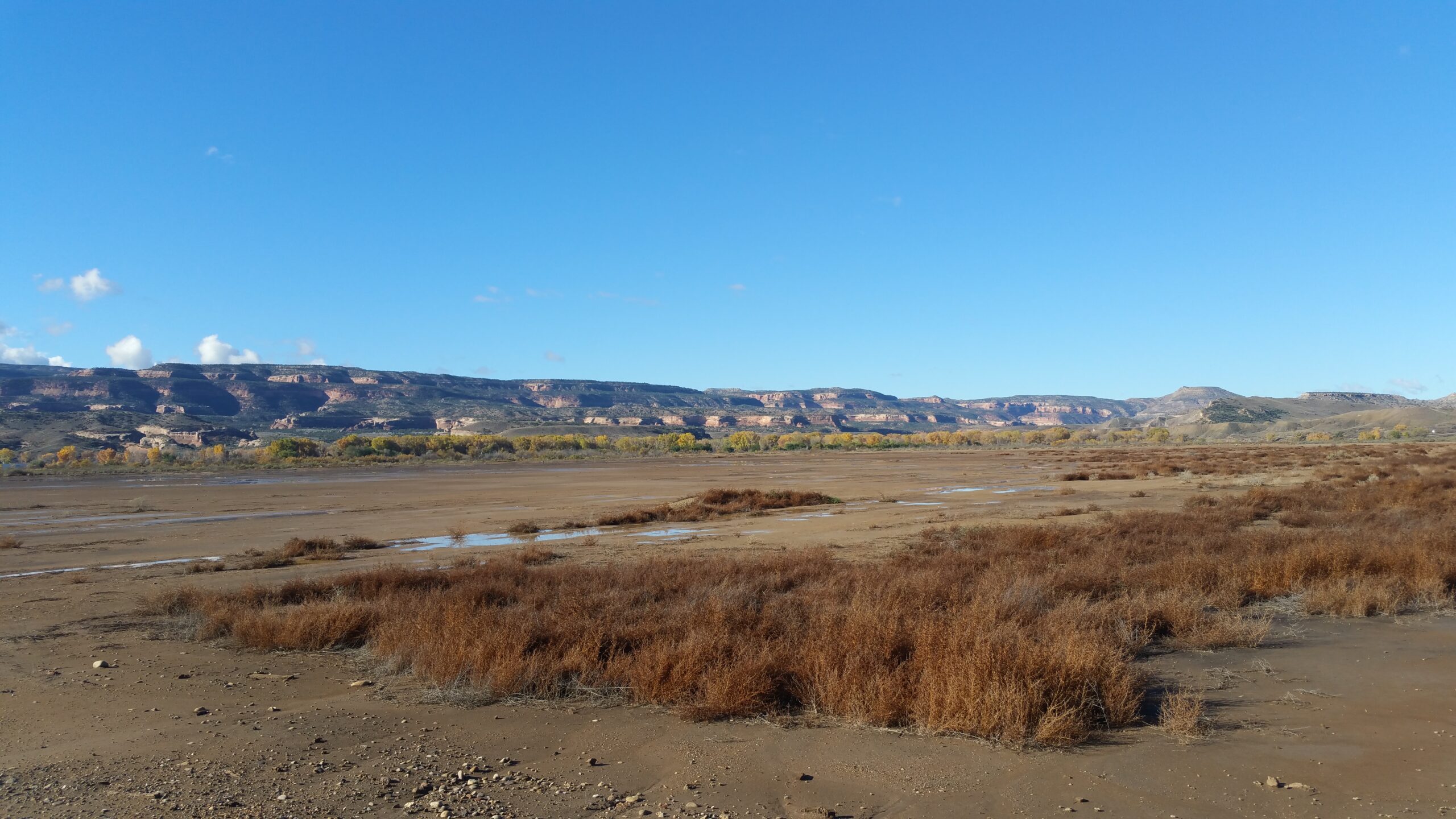 1165 15 Road Loma, CO 81524, Loma, CO
