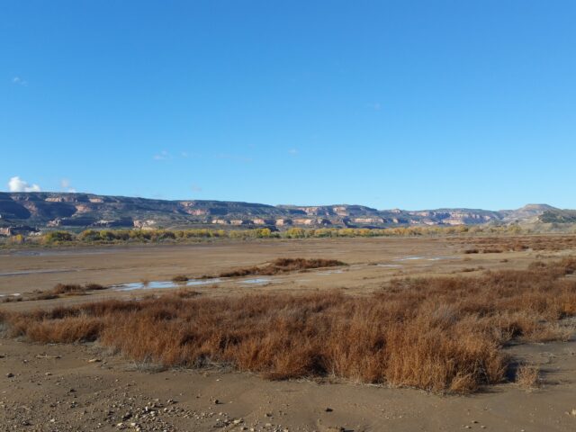1165 15 Road Loma, CO 81524, Loma, CO
