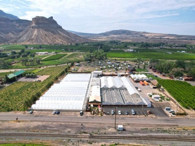 Large Greenhouse in Wine Country