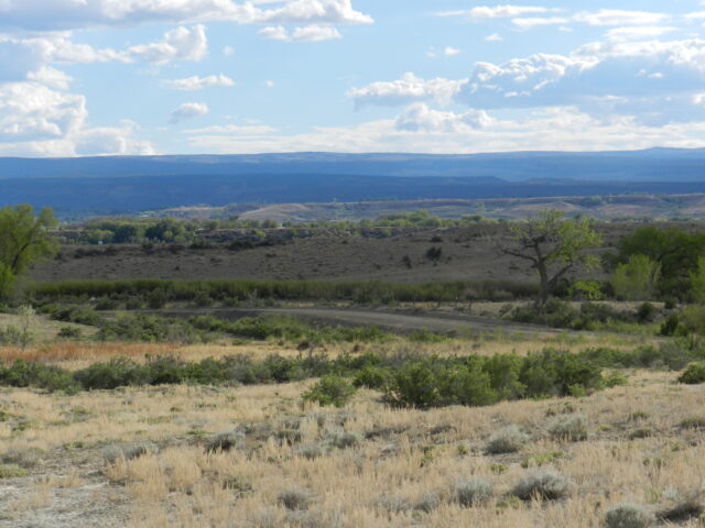 1475 and TBD Hwy 50, Delta, CO