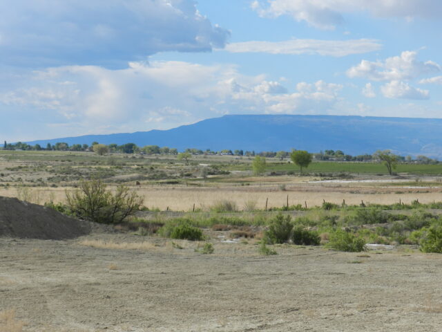 1475 and TBD Hwy 50, Delta, CO