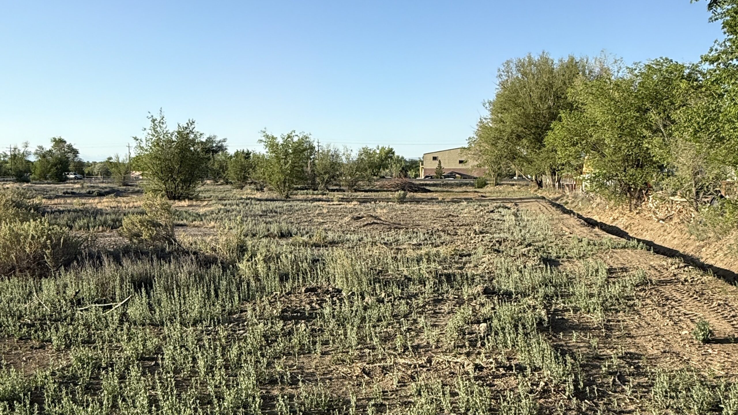 1475 and TBD Hwy 50, Delta, CO