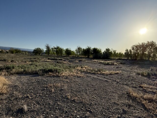 1475 and TBD Hwy 50, Delta, CO