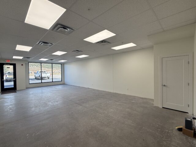 205 Jasper Lane, Ridgway, CO Sale and Lease, Ridgway, CO