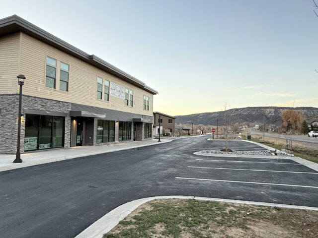 205 Jasper Lane, Ridgway, CO Sale and Lease, Ridgway, CO