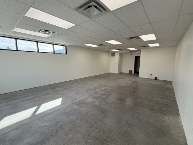 205 Jasper Lane, Ridgway, CO Sale and Lease, Ridgway, CO