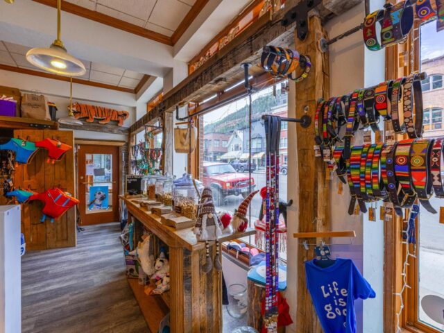 Irreplaceable Asset for Sale in Telluride, Telluride, CO