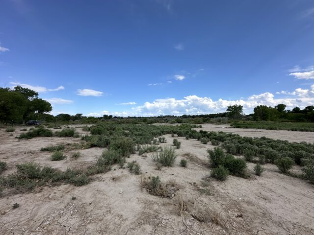 TBD 1500 Ct, Delta, CO