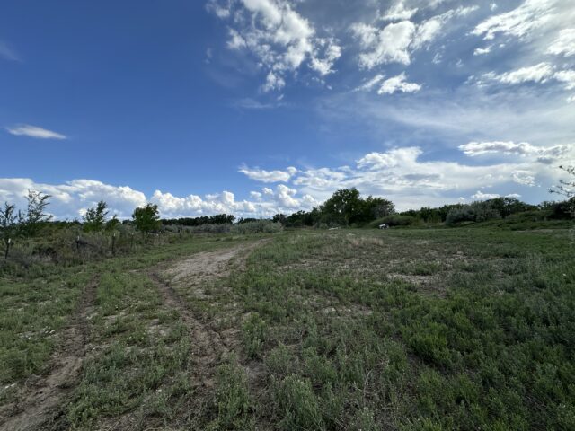 TBD 1500 Ct, Delta, CO