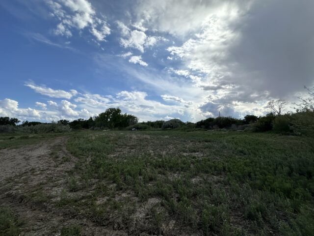 TBD 1500 Ct, Delta, CO