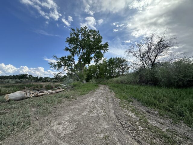 TBD 1500 Ct, Delta, CO