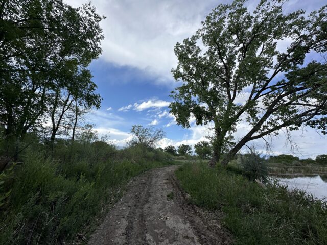 TBD 1500 Ct, Delta, CO