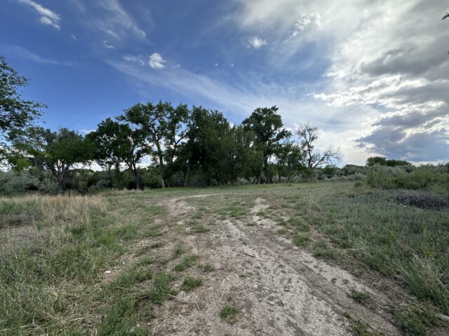 TBD 1500 Ct, Delta, CO