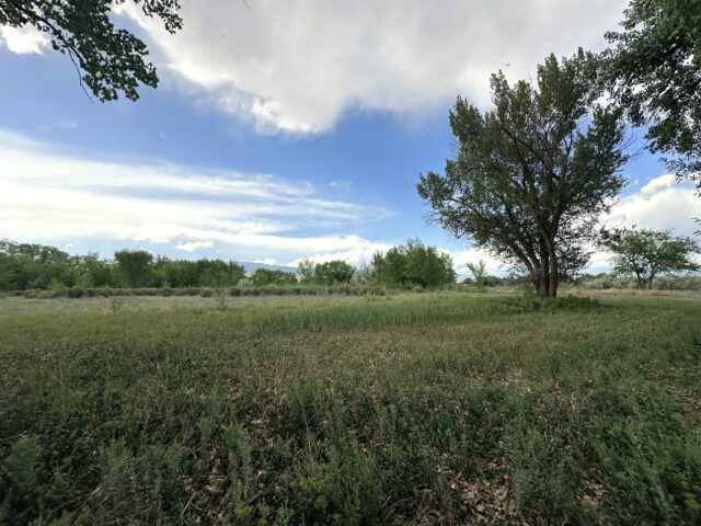 TBD 1500 Ct, Delta, CO