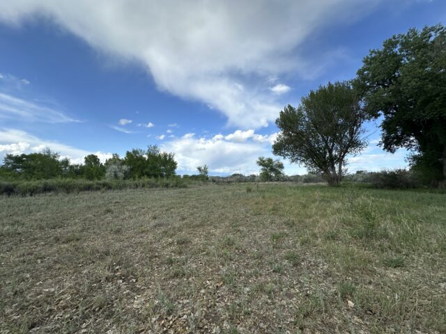 TBD 1500 Ct, Delta, CO
