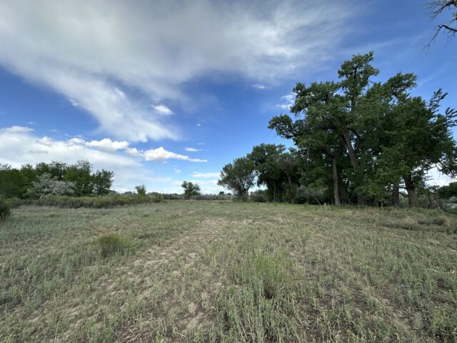 TBD 1500 Ct, Delta, CO