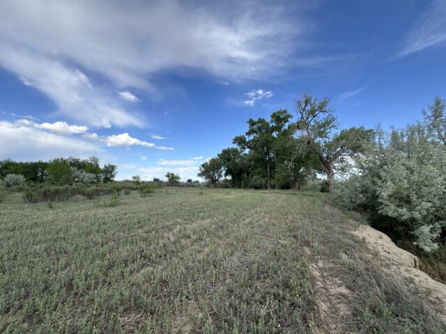 TBD 1500 Ct, Delta, CO