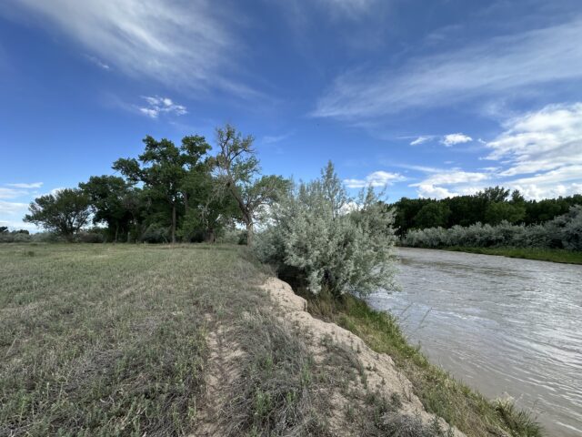 TBD 1500 Ct, Delta, CO