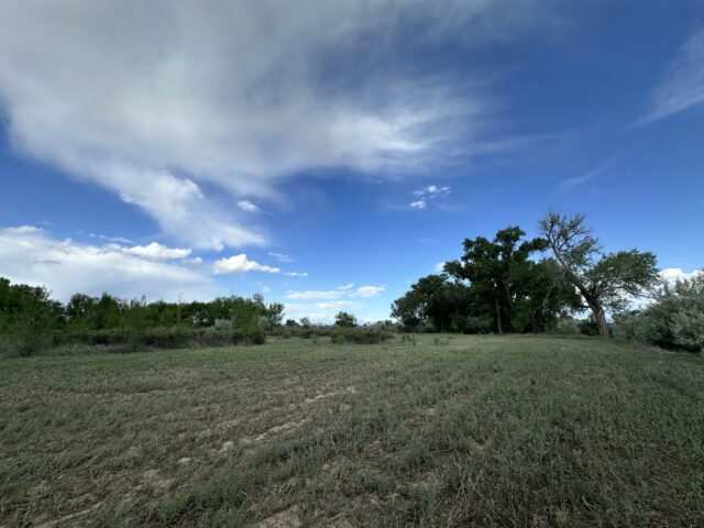 TBD 1500 Ct, Delta, CO