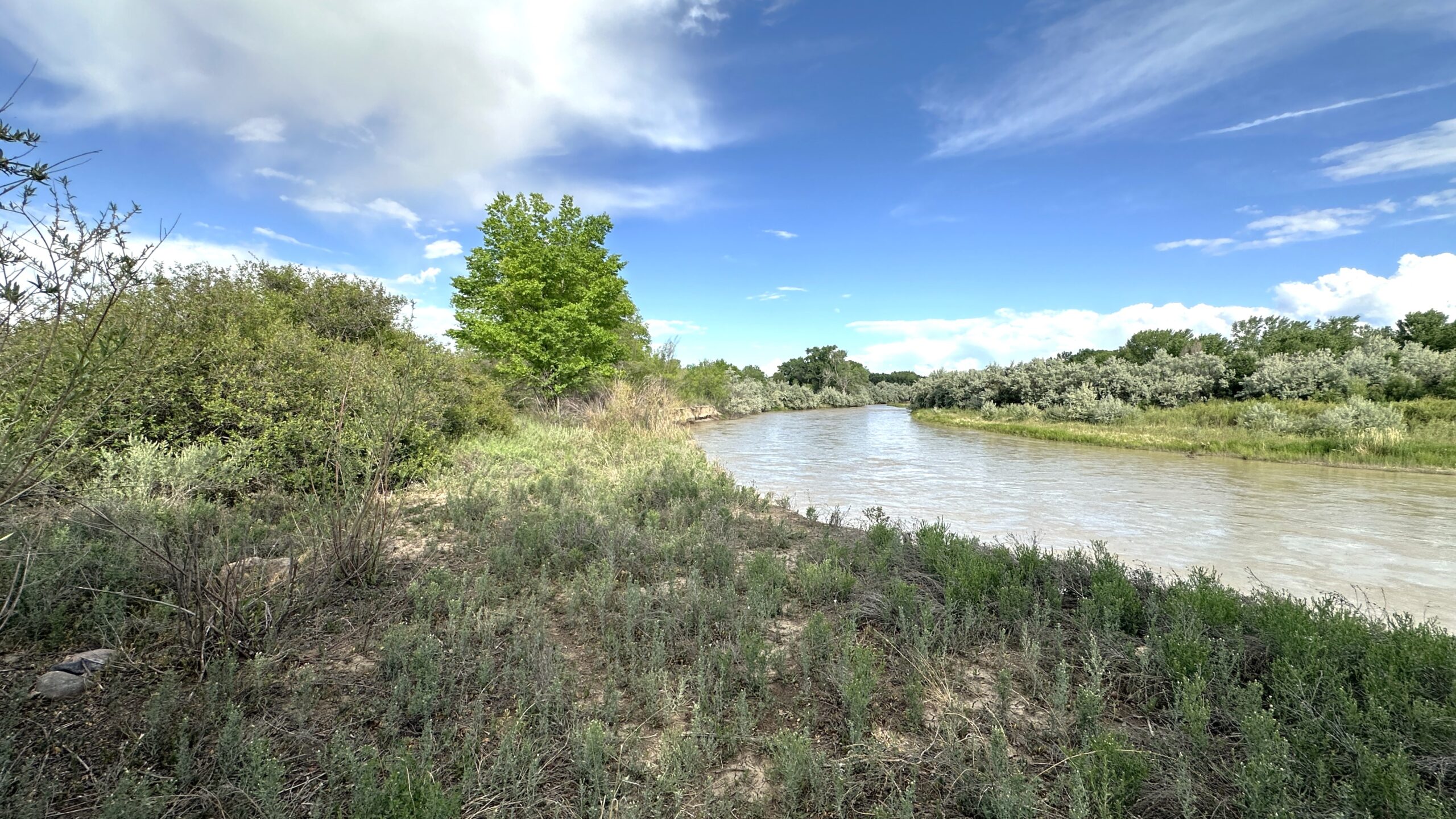 TBD 1500 Ct, Delta, CO