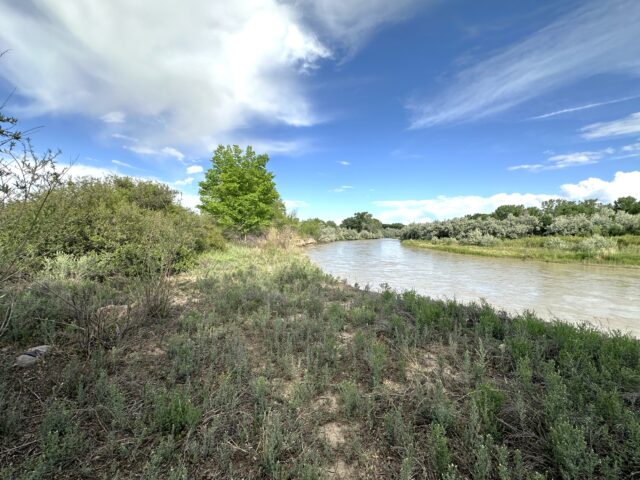 TBD 1500 Ct, Delta, CO