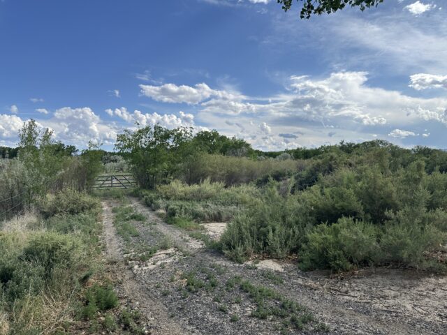 TBD 1500 Ct, Delta, CO