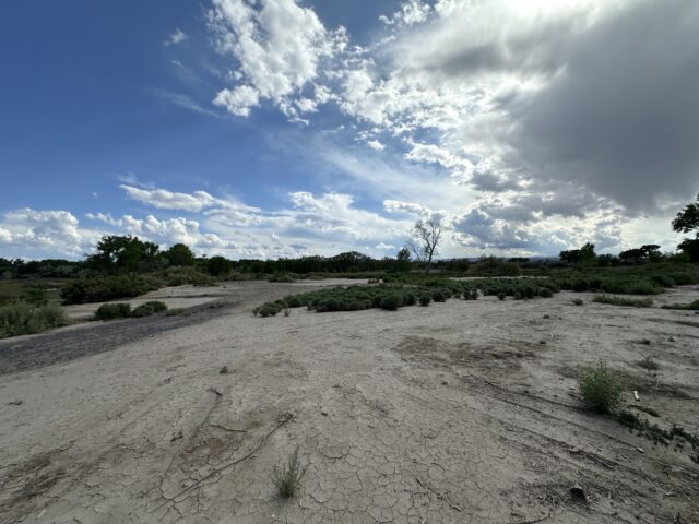 TBD 1500 Ct, Delta, CO