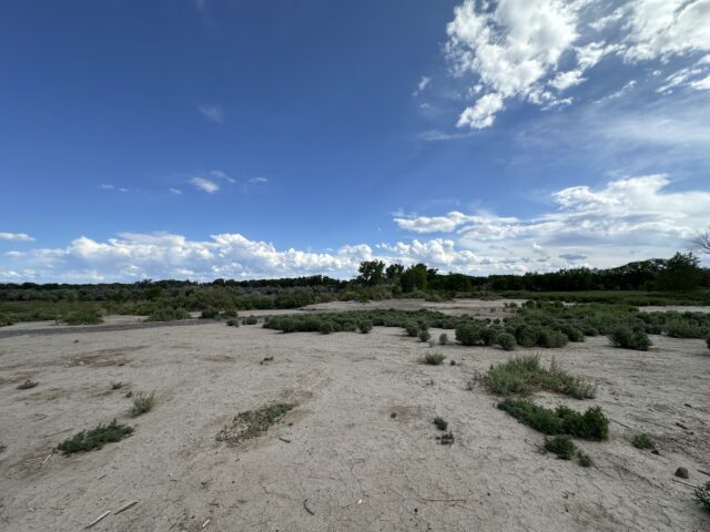 TBD 1500 Ct, Delta, CO