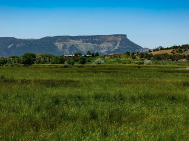 Rural Commericial Opportunity – 40498 Hwy 160B, Mancos, CO, Mancos, CO