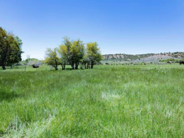 Rural Commericial Opportunity – 40498 Hwy 160B, Mancos, CO, Mancos, CO
