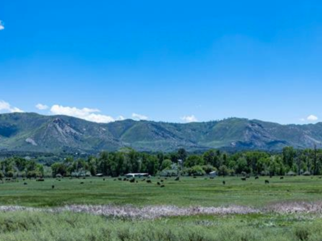 Rural Commericial Opportunity – 40498 Hwy 160B, Mancos, CO, Mancos, CO