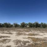 land for sale in grand junction